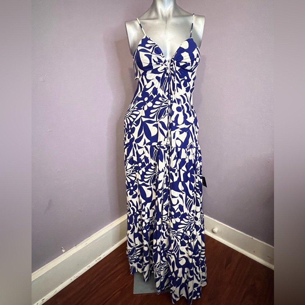 Lulu's Blue and White Floral Maxi Dress